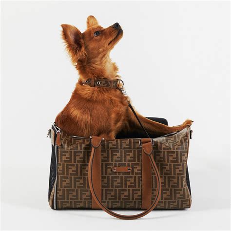 fendi pet dames|Pet Accessories .